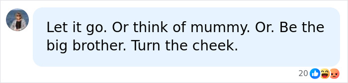 Screenshot of a comment about King Charles and Prince William, suggesting Prince William be the big brother. Screenshot of a comment about King Charles and Prince William, suggesting Prince William be the big brother.