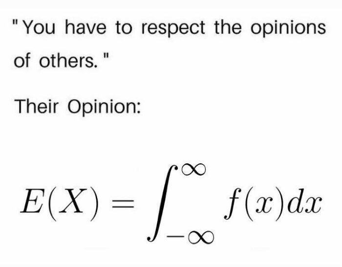 A meme showing a mathematical integral formula as an opinion that must be respected. Humorous stats class memes.