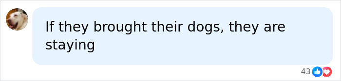 A social media comment reads, If they brought their dogs, they are staying, regarding Meghan Markle and Prince Harry's return to UK. A social media comment reads, If they brought their dogs, they are staying, regarding Meghan Markle and Prince Harry's return to UK.