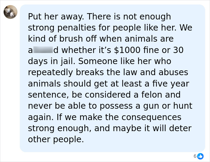 A social media comment from a user suggesting harsher penalties for the US tourist who snatched a baby wombat. A social media comment from a user suggesting harsher penalties for the US tourist who snatched a baby wombat.