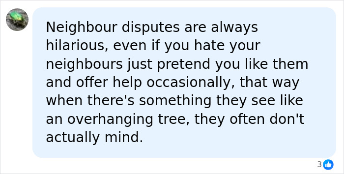 A comment about neighbour disputes being hilarious and offering help to avoid issues like an ornamental squirrel court bill. A comment about neighbour disputes being hilarious and offering help to avoid issues like an ornamental squirrel court bill.