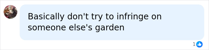 A social media comment advising against infringing on someone else's garden during a neighbor battle over an ornamental squirrel. A social media comment advising against infringing on someone else's garden during a neighbor battle over an ornamental squirrel.