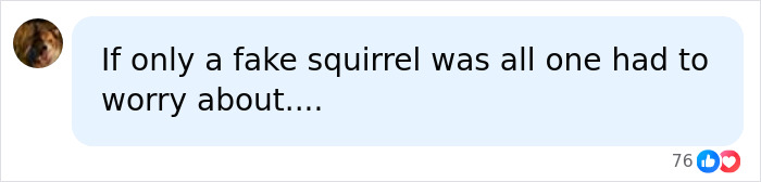 A social media comment lamenting a fake ornamental squirrel being the only worry. A social media comment lamenting a fake ornamental squirrel being the only worry.
