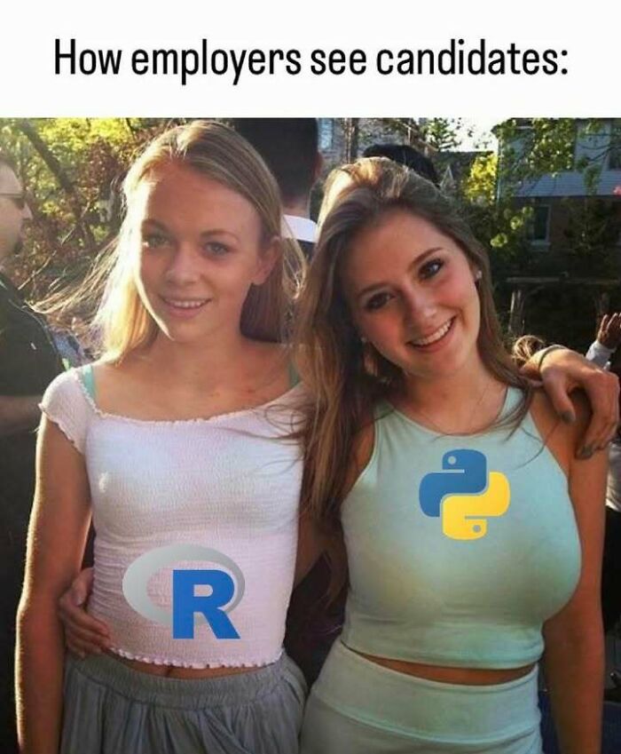 A funny meme showing two women representing R and Python, depicting how employers see candidates. Witty stats class memes.