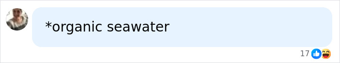 A Netizen comment on Brooklyn Beckham's cooking video, humorously calling the seawater organic.