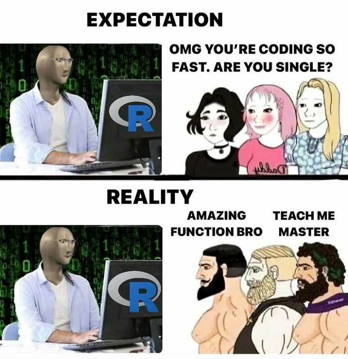 A meme comparing expectation vs. reality for coding in R, a humorous take on stats class experiences.
