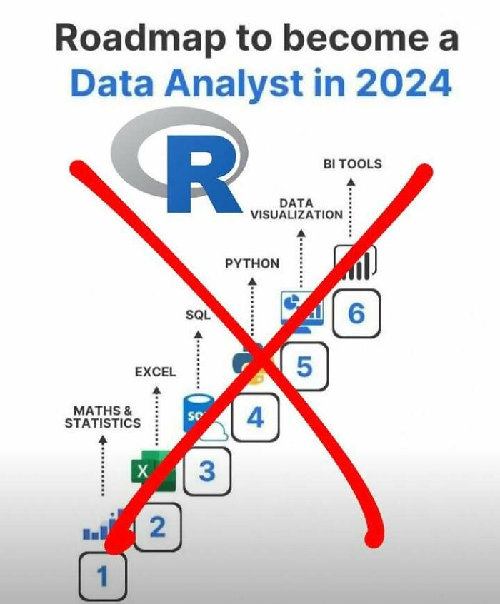 A statistics roadmap meme to become a Data Analyst in 2024, showing a red X through R and various data skills.