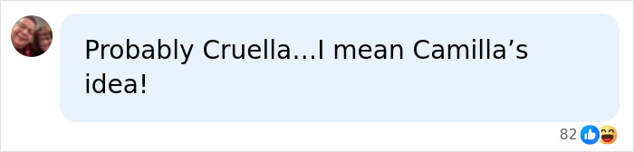 A comment suggesting Camilla initiated the name change demand.