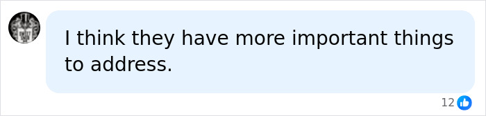 A social media comment box with a profile picture of a brain, stating, I think they have more important things to address, referring to King Charles, Queen Camilla, and Kate Middleton.