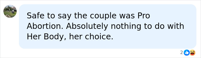Comment on surrogate trying to save baby and pregnancy termination, suggesting biological parents are pro-abortion.