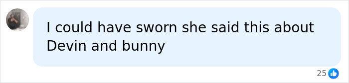 A social media post with a text bubble, 'I could have sworn she said this about Devin and bunny,' discussing Kendall Jenner's romance. A social media post with a text bubble, 'I could have sworn she said this about Devin and bunny,' discussing Kendall Jenner's romance.