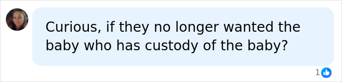 A social media comment questions baby custody if parents no longer wanted the baby from a surrogate. A social media comment questions baby custody if parents no longer wanted the baby from a surrogate.