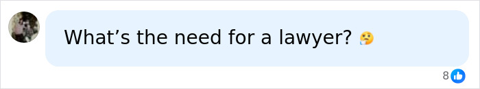 Hayden Panettiere's boyfriend and investigation: a user questions the need for a lawyer with a thinking emoji. Hayden Panettiere's boyfriend and investigation: a user questions the need for a lawyer with a thinking emoji.