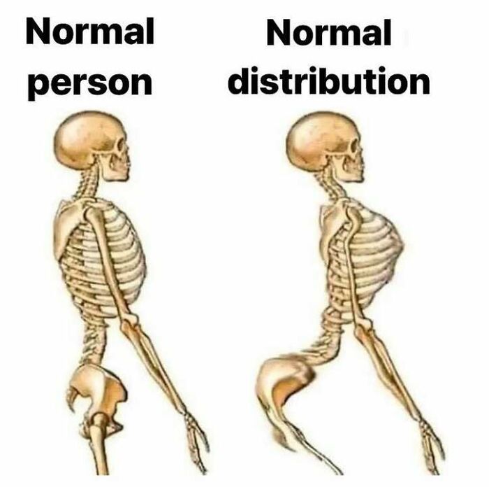 A funny stats meme comparing a normal person skeleton to a skeleton illustrating a normal distribution.