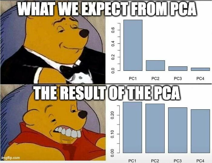 A statistics meme illustrating the expectation vs. result of PCA (Principal Component Analysis) with Winnie the Pooh.