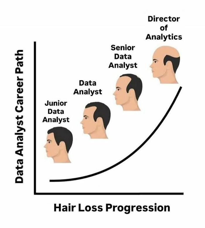 A funny statistics meme showing the progression of hair loss through a data analyst career path.