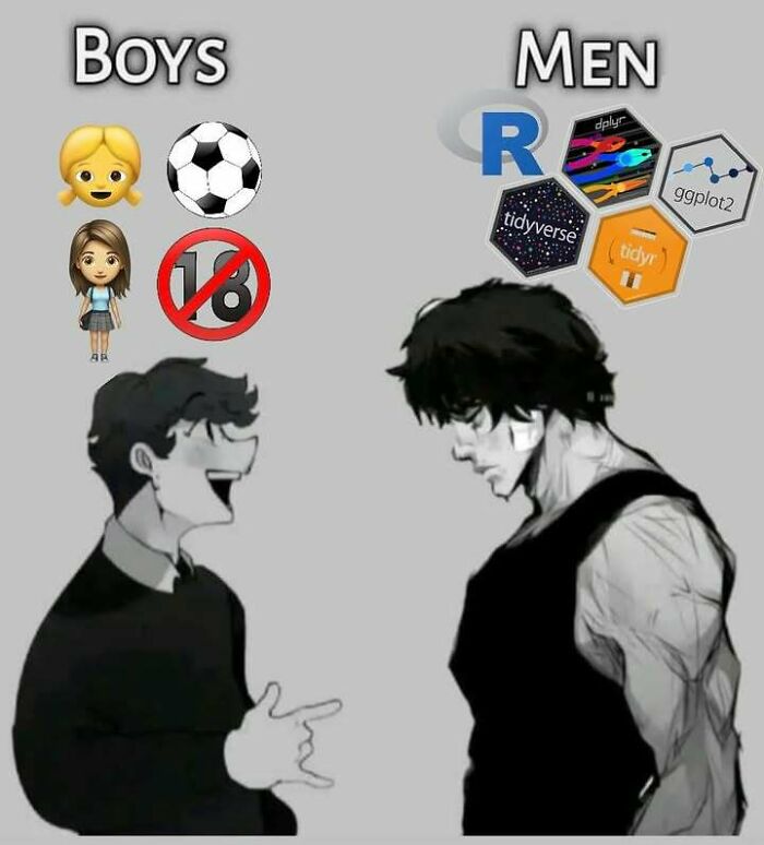 A meme contrasting 'Boys' (emojis) with 'Men' (R language logos), a funny stats class meme.
