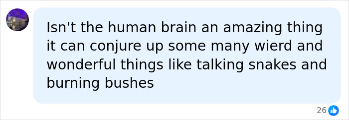 Screenshot of a comment discussing the human brain's ability to conjure up images, relating to a man's afterlife description. Screenshot of a comment discussing the human brain's ability to conjure up images, relating to a man's afterlife description.