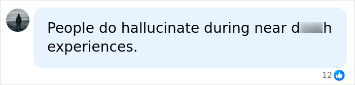 Screenshot of a comment on hallucinations during near-d***h experiences, relevant to a man's afterlife account. Screenshot of a comment on hallucinations during near-d***h experiences, relevant to a man's afterlife account.