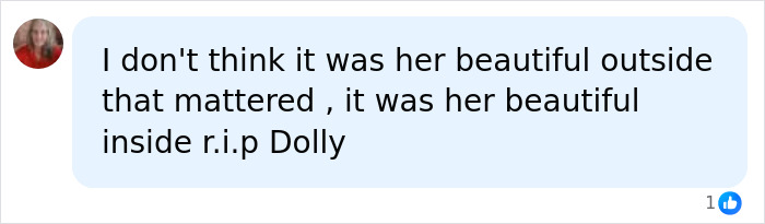 A social media comment emphasizing Dolly Parton's inner beauty over her outer appearance, reflecting on her real hair and wigs. A social media comment emphasizing Dolly Parton's inner beauty over her outer appearance, reflecting on her real hair and wigs.