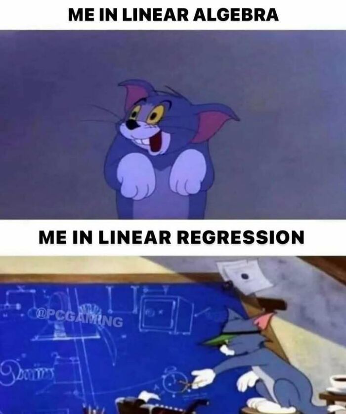 A meme with Tom from Tom and Jerry representing linear algebra vs. linear regression, a funny stats meme.