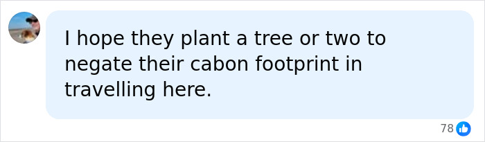Screenshot of a social media comment about Meghan Markle and Prince Harry's carbon footprint during their UK return. Screenshot of a social media comment about Meghan Markle and Prince Harry's carbon footprint during their UK return.