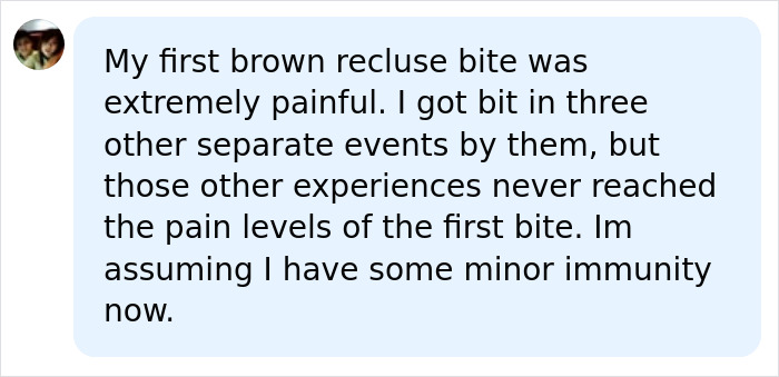 A user comment describing a painful brown recluse spider bite on a camping trip. A user comment describing a painful brown recluse spider bite on a camping trip.