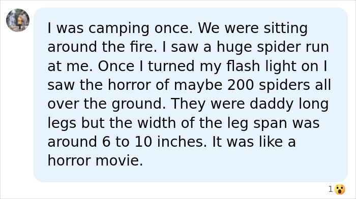 A social media comment describing a terrifying camping trip experience with 200 spiders, highlighting the fear of being attacked by spiders. A social media comment describing a terrifying camping trip experience with 200 spiders, highlighting the fear of being attacked by spiders.