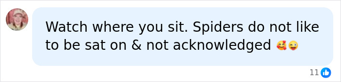 A social media comment about spiders on a camping trip and mom of four attacked by spiders biting. A social media comment about spiders on a camping trip and mom of four attacked by spiders biting.