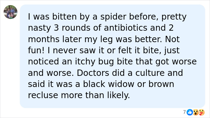 A social media comment from a user bitten by a spider, mentioning antibiotics after a camping trip. A social media comment from a user bitten by a spider, mentioning antibiotics after a camping trip.