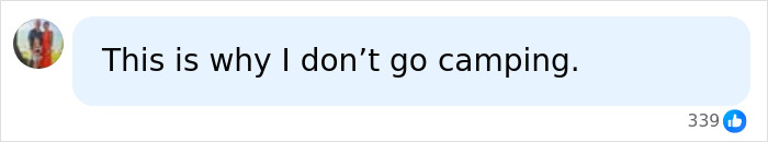 Social media comment: This is why I don't go camping, about being attacked by spiders. Social media comment: This is why I don't go camping, about being attacked by spiders.
