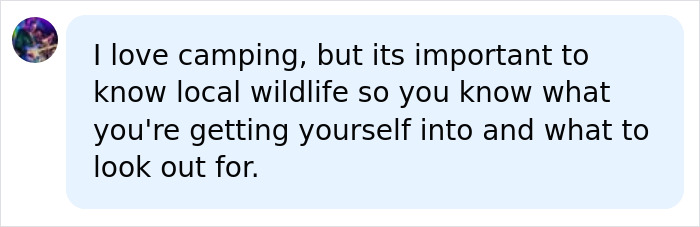 A social media comment about the importance of knowing local wildlife on a camping trip after a mom-of-four was attacked by spiders. A social media comment about the importance of knowing local wildlife on a camping trip after a mom-of-four was attacked by spiders.