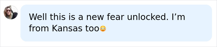 A social media comment from a user in Kansas, expressing new fear after a mom-of-four was attacked by spiders. A social media comment from a user in Kansas, expressing new fear after a mom-of-four was attacked by spiders.