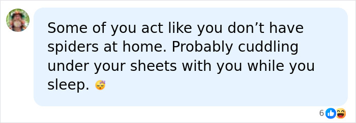 A social media comment about spiders at home, related to mom attacked by spiders on a camping trip. A social media comment about spiders at home, related to mom attacked by spiders on a camping trip.