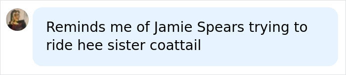 A social media comment comparing Noah Cyrus to Jamie Spears trying to ride her sister's coattail. A social media comment comparing Noah Cyrus to Jamie Spears trying to ride her sister's coattail.