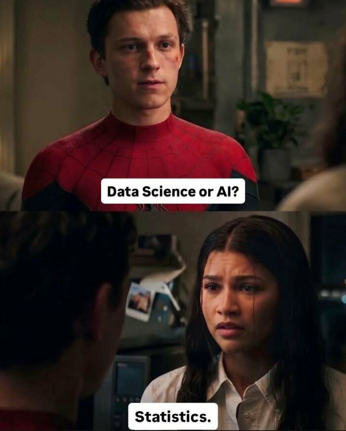 A stats meme featuring Spider-Man asking Data Science or AI? and MJ replying Statistics.