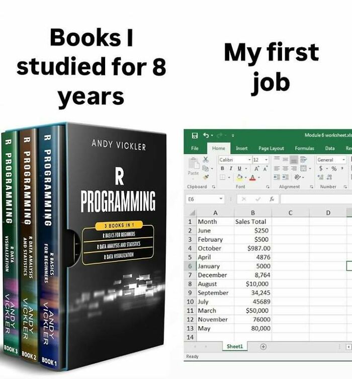 A statistics meme contrasting years of R Programming study with a first job using Excel.