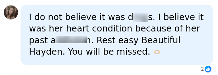 A social media comment discussing Hayden Panettiere's passing, suggesting a heart condition, and referencing 911 dispatch audio. A social media comment discussing Hayden Panettiere's passing, suggesting a heart condition, and referencing 911 dispatch audio.