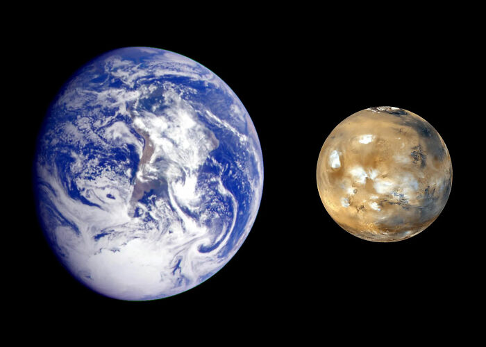 A NASA Mars photo showing Earth and Mars side by side, sparking frenzy about possible jellyfish. A NASA Mars photo showing Earth and Mars side by side, sparking frenzy about possible jellyfish.