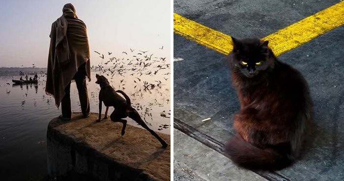 32 Remarkable Photographs By Tittu Shaji Thomas That Capture Life Across Cultures And Landscapes