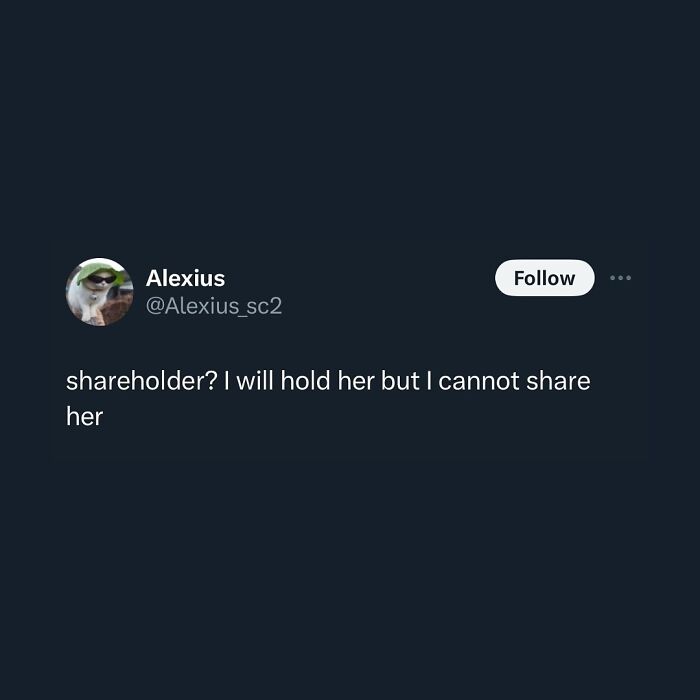 A tweet on a dark blue background about holding but not sharing her, referencing shareholder. Hilarious memes for procrastinating.