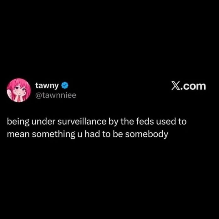 Hilarious meme of a tweet about being under surveillance by the feds.