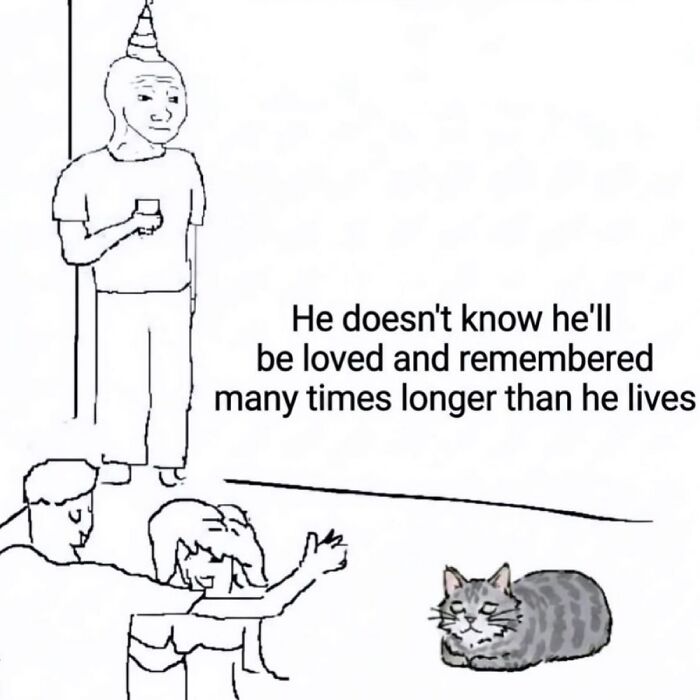 Hilarious meme showing a sad person at a party and a cat with text about being loved.