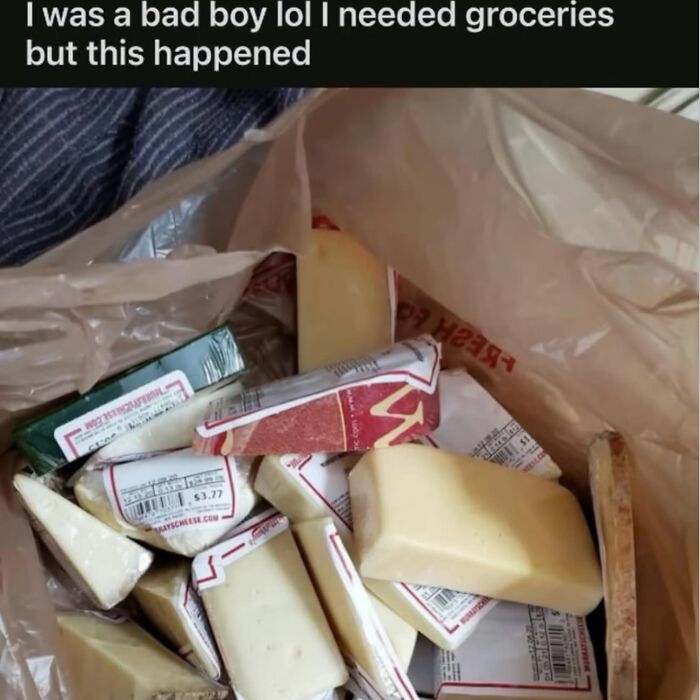 Hilarious memes: a bag full of various cheeses instead of groceries, a funny example of procrastination.