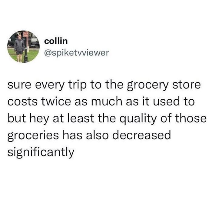 A tweet about grocery store costs and quality, providing hilarious memes for procrastinating.
