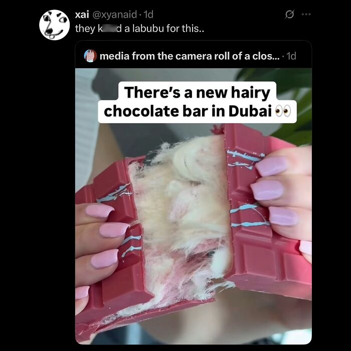 A social media post with a meme showing a person holding a hairy chocolate bar. Hilarious memes.