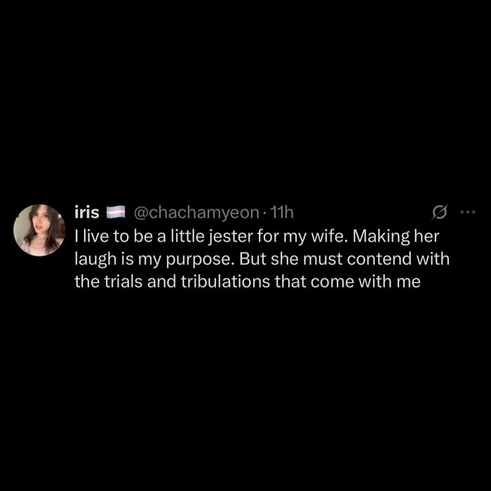 A hilarious meme from Iris about being a jester for her wife, making her laugh, for procrastinating.