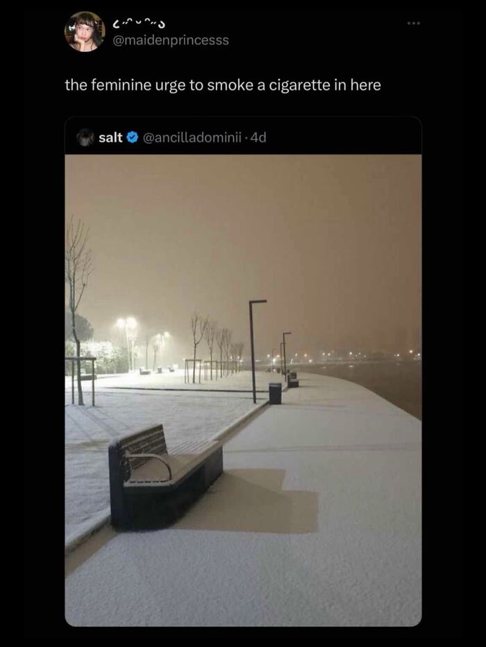 A tweet about the feminine urge to smoke a cigarette in a snowy, dark park. Hilarious memes for procrastination.
