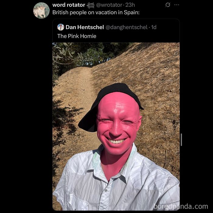 A social media post with a meme of a person with a pink face smiling, labeled 'The Pink Homie'. Hilarious memes.