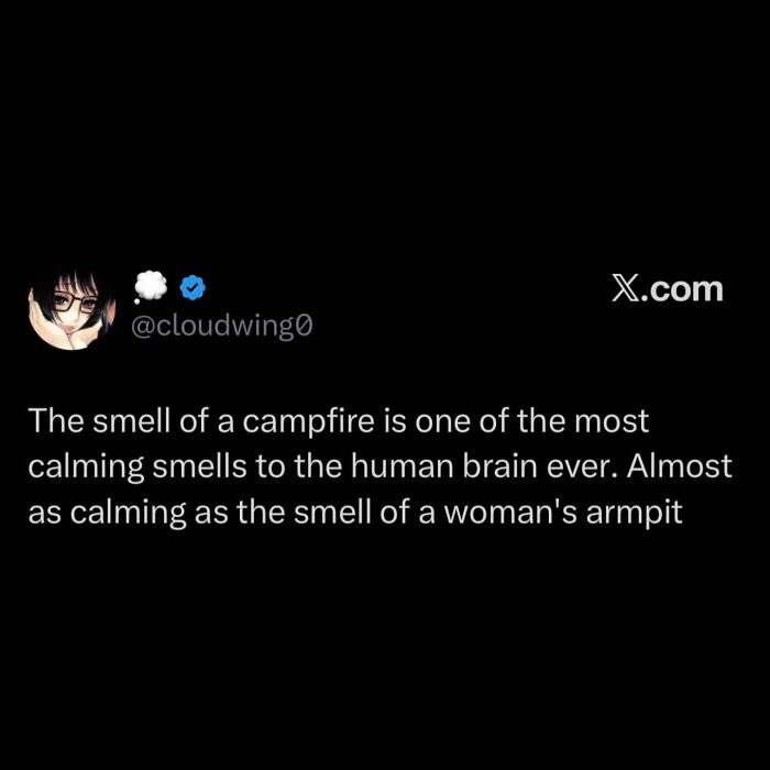 A social media post about the calming smell of a campfire, compared to a woman's armpit, one of many hilarious memes.